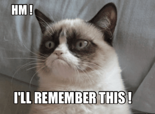 Grumpy cat GIF